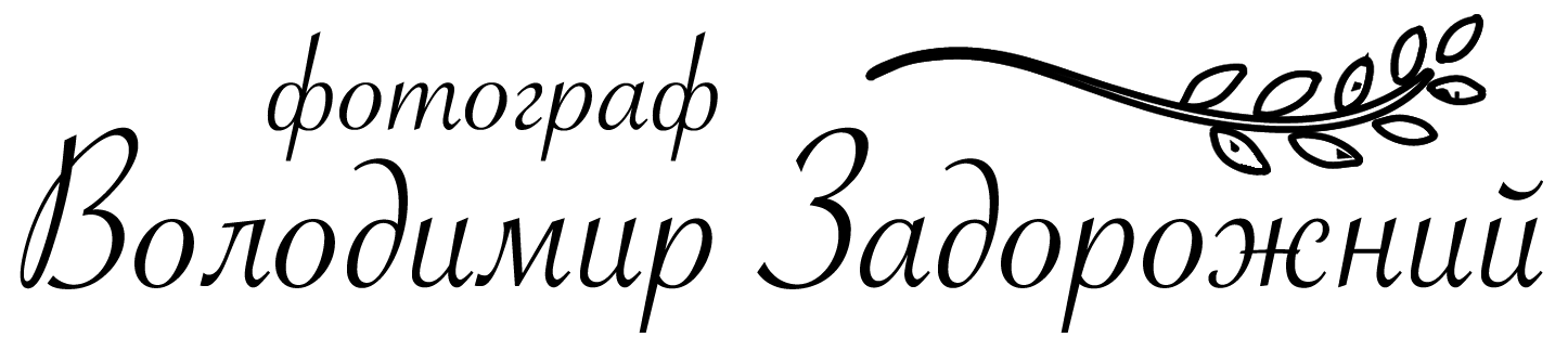 Company name